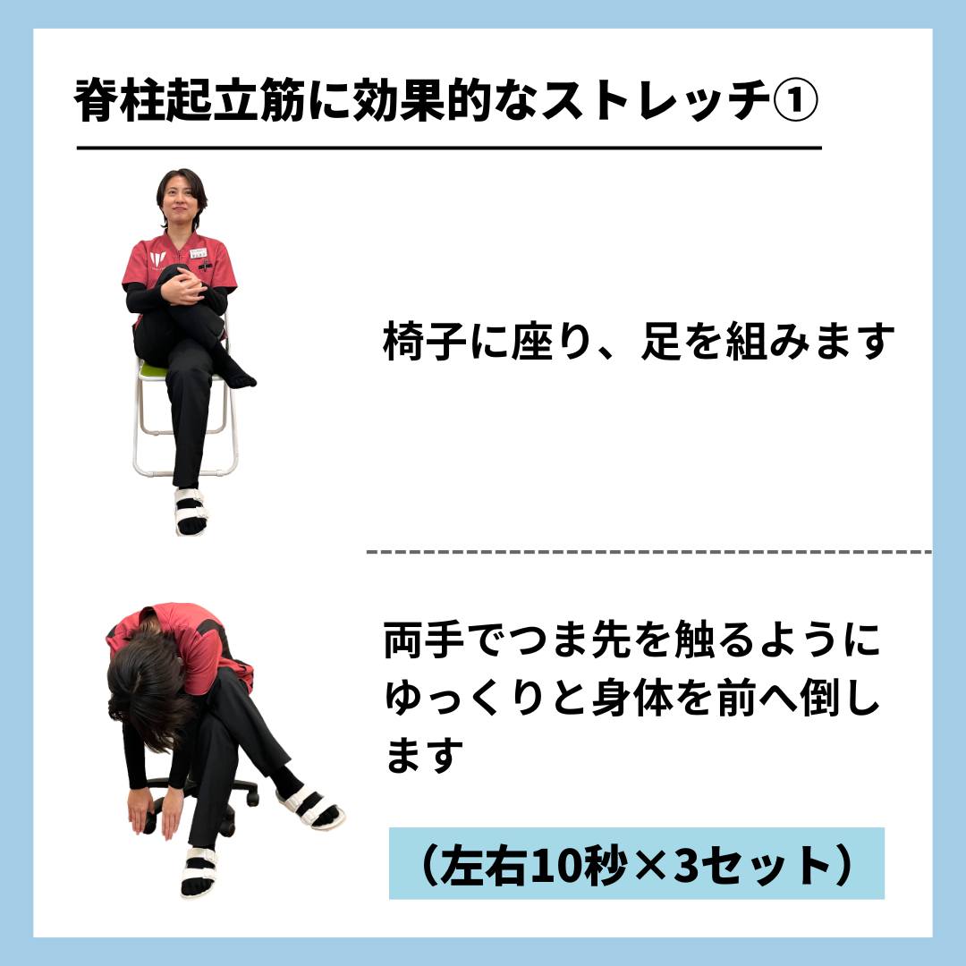 椅子に座って脚を組み前屈する脊柱起立筋のストレッチ