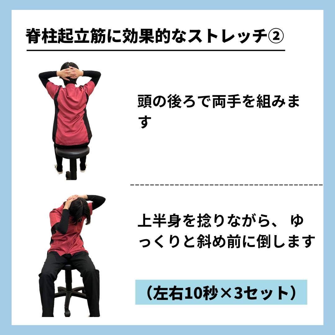 子に座って上半身をひねりながら前に倒す脊柱起立筋のストレッチ