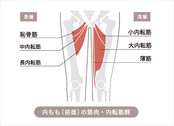 股関節痛