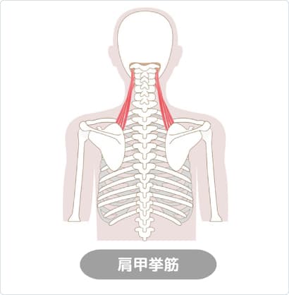 肩こり