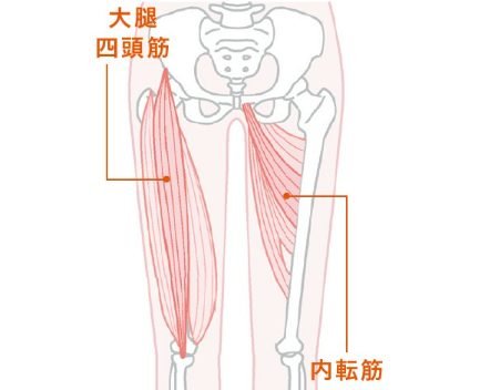 水泳による膝の痛みについて